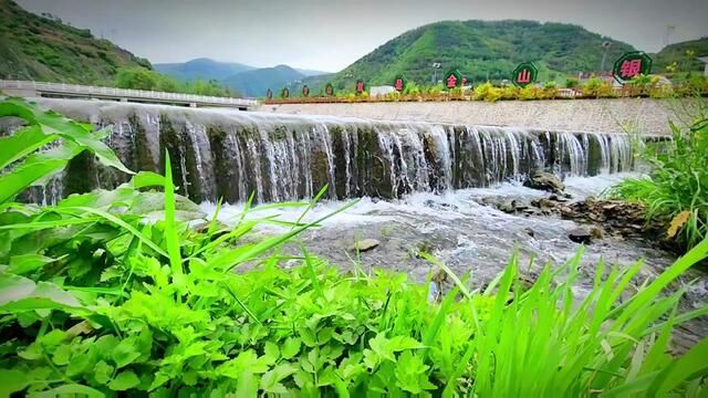 青山绿水,花香鸟语,虽然天气阴雨,但杨河的美还是触动了人的多种感觉…#甘肃武山#杨河镇