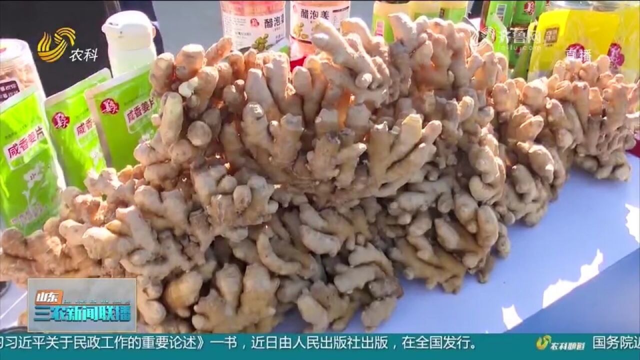 “莱芜生姜基因测序”成果发布,六个投资购销项目现场签约