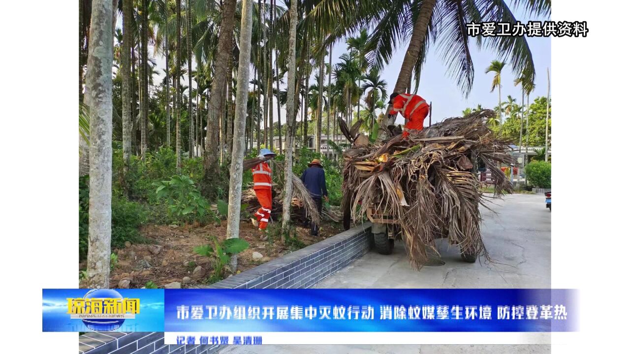 市爱卫办组织开展集中灭蚊行动 消除蚊媒孳生环境 防控登革热