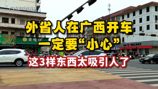 外省人在广西开车一定要“小心”,这3样东西太吸引人了!