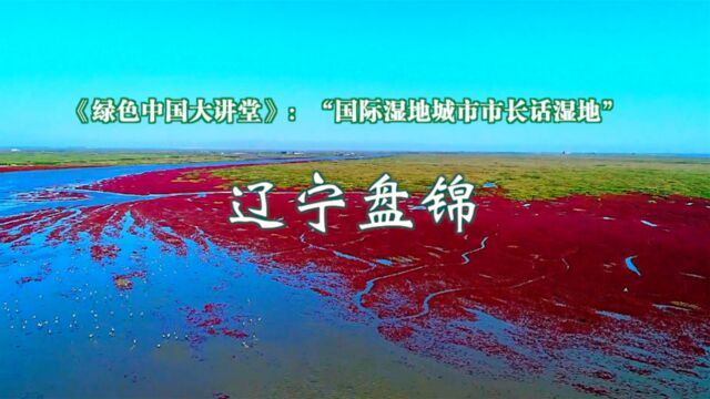 国际湿地城市市长话湿地——辽宁盘锦