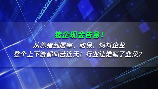 猪企现金告急!从养猪,到屠宰、动保、饲料企业,整个上下游都叫苦连天!行业让谁割了韭菜?