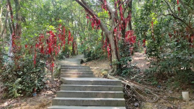 “风可动,夏青林,凤凰山”