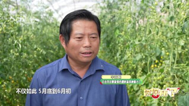 问您所“?” | 荣县:探索新模式 “蔬”写好篇章