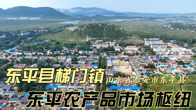 山东省泰安市东平县梯门镇|未来农产品批发交易市场的重要枢纽