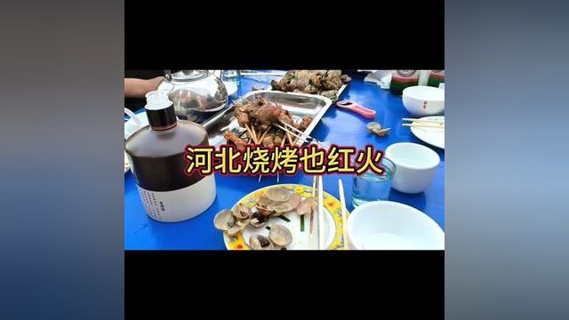 河北烧烤也红火#社会百态 #人间百态皆是生活 #看人间故事品百味人生 #现场实拍 #路人视角