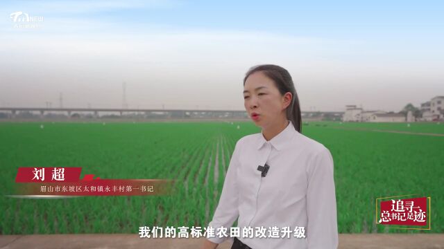 天府新视界丨答卷——永丰稻千重