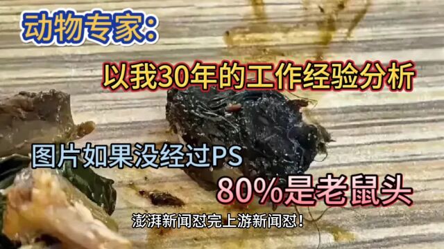 澎湃新闻怼完上游新闻怼!专家:以我从业30多年经验看,80%是鼠头