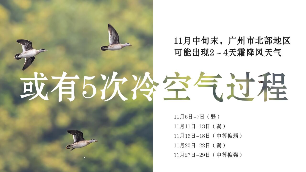 预计11月广州均温21.5℃,或迎3次降水、5股冷空气