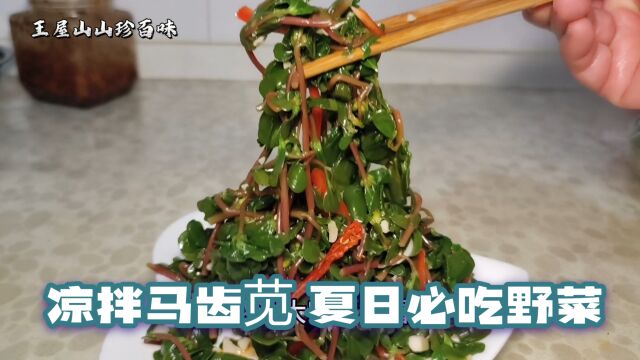 在农村真好,随处可见的野菜马齿苋,也是夏天老百姓必吃的野菜之一