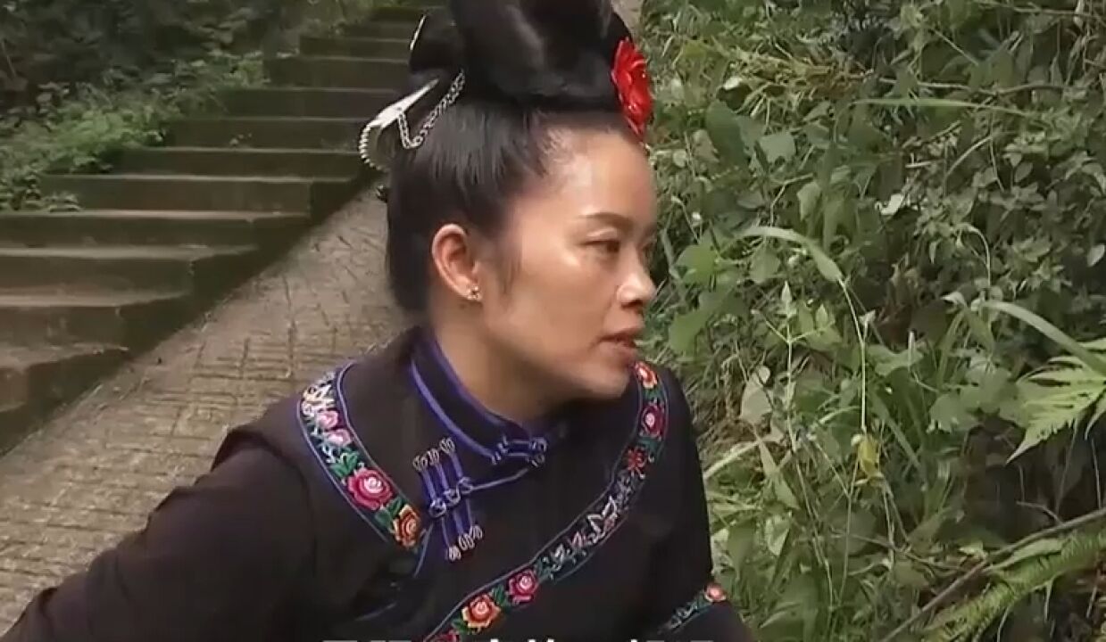 藏在山中的宝贝“山药”,记者跟随农户上山,寻找野生山药