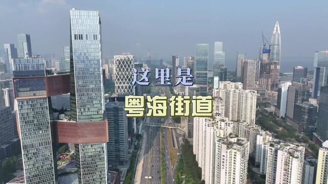 伟哥视角看GDP超4000亿的粤海街道,关注伟哥,关注粤港澳大湾区城市建设.#美景分享 #城市风景 #粤海街道办