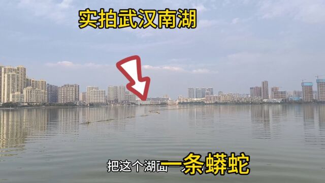 实拍武汉南湖,一条“蟒蛇”在江面上穿梭着,太神奇了