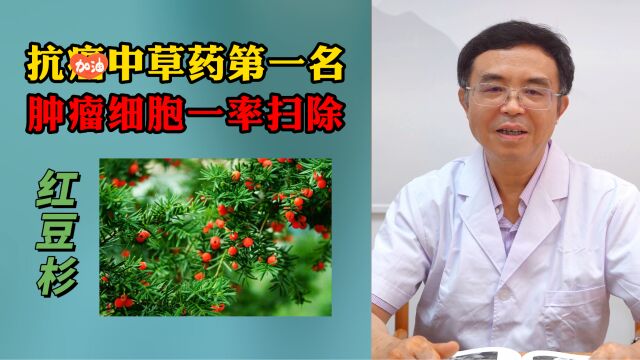 抗癌中草药第一名,肿瘤细胞无差别一律摧毁