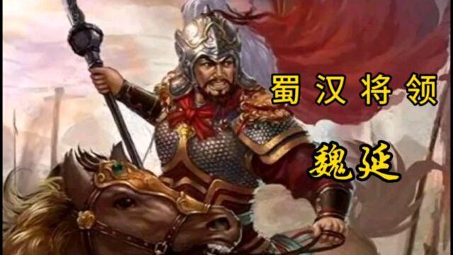 三国时期蜀汉名将魏延简介