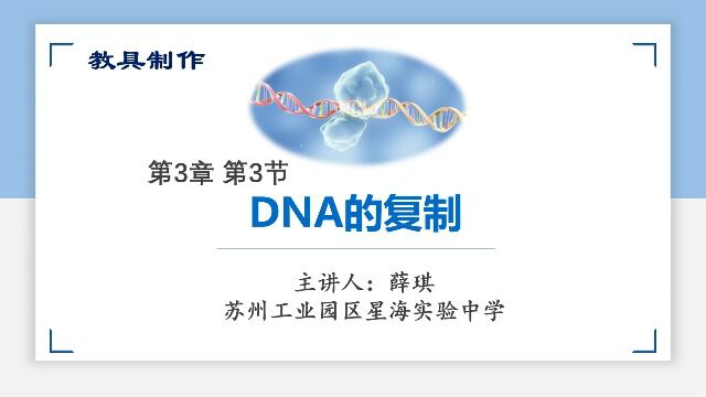 DNA复制教具制作及使用