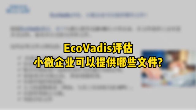 EcoVadis评估小微企业可以提供哪些文件?