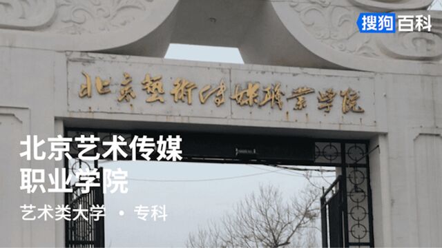 北京艺术传媒职业学院:以老庄为友、以孔孟为友、更以智慧为友