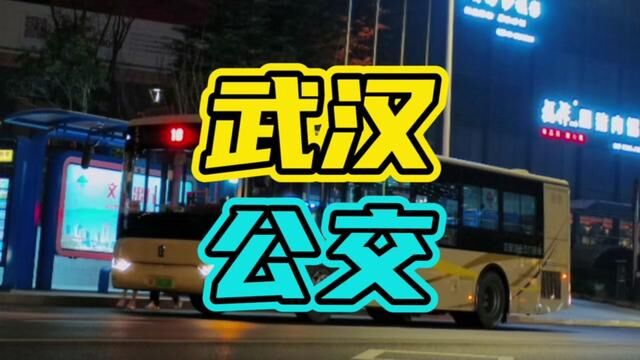 武汉公交到底有多牛呢?#武汉 #公交车 #开车