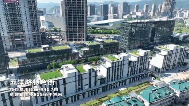 台州温岭市五洋路特色街项目已完工,将于年底正式开业亮相