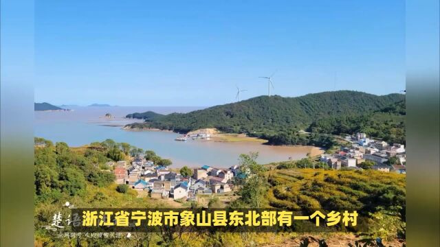 上浙江宁波大坦古村,倚山面海风景如画,是观海听涛和赏花徒步胜地 #小众景点 #旅游攻略 #周边游 #旅行推荐官