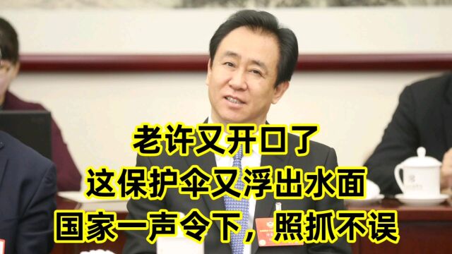 老许又开口了,最新保护伞浮出水面!国家一声令下,照抓不误