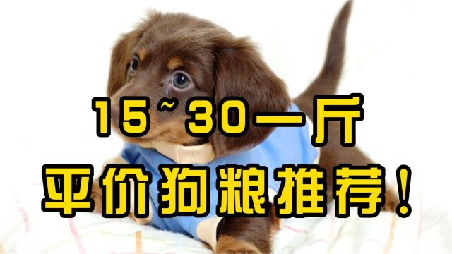 15~30一斤平价狗粮推荐!