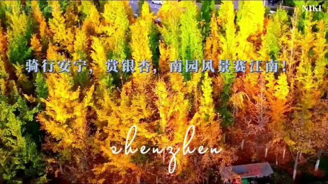 “骑行安宁,赏银杏,南园风景赛江南”