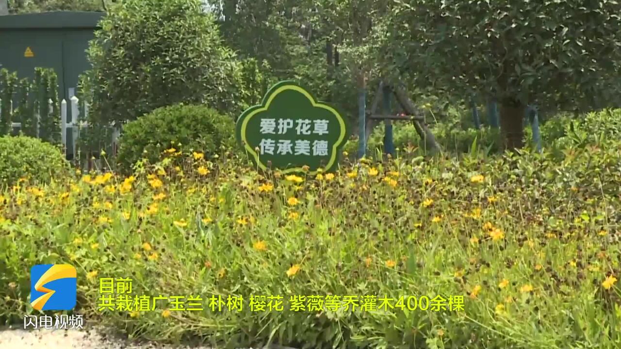 不断提升市民居住环境 枣庄台儿庄跑出园林创建“加速度”