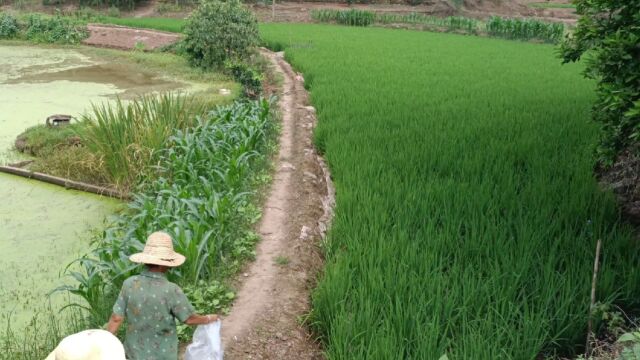 端午节放假,回家看妈妈,妈妈给我准备了美食和土特产