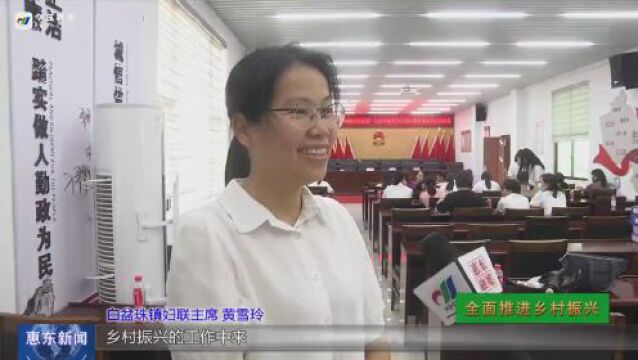 惠东白盆珠镇美丽家园创建服务计划启动