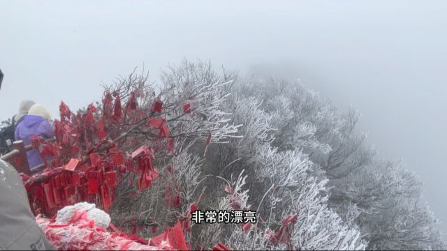 初爬河南老君山,山顶遇大雪纷飞,美景尽收眼底,2023冬天头场雪