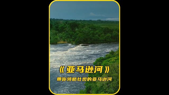 带你领略壮观的亚马逊河流