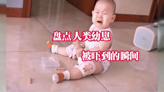 盘点幼崽被吓到的瞬间,虽然家庭不一样,但是崽崽都是同一种