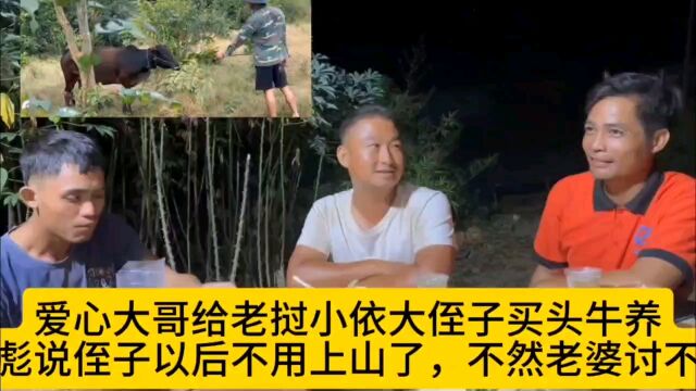 爱心大哥给小依大侄子买头牛养,阿彪说大侄子以后养牛赚钱娶媳妇