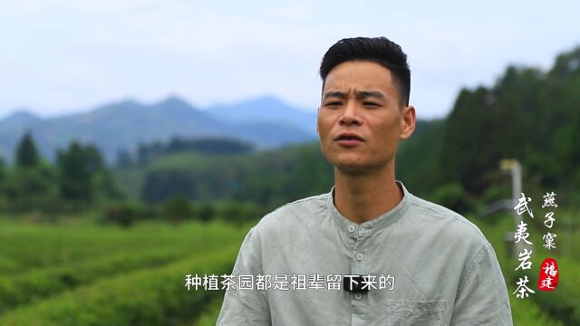 了不起的中国农业—2023农大腐植酸品质中国行:武夷岩茶燕子窠