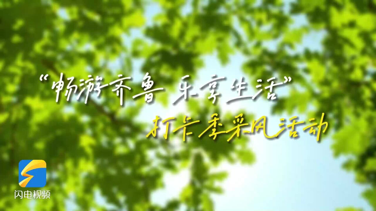 5天行程发起直播15场 整体传播量2.2亿!“畅游齐鲁 乐享生活”打卡季采风活动圆满收官