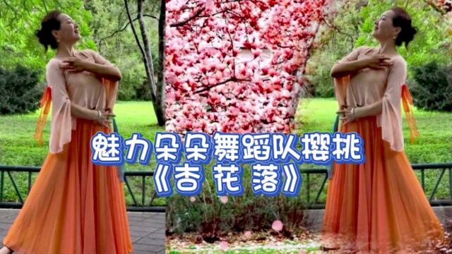 魅力朵朵一笑生花的小崔老师《杏花落》!重新制作,惊艳唯美