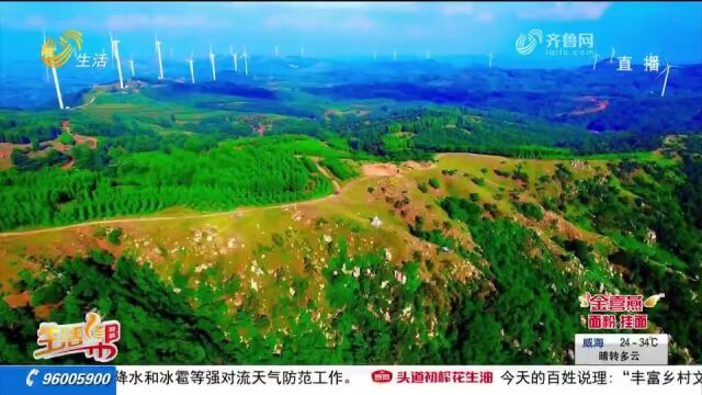 盛夏时节,临朐云中草原风景独好,吹风露营看星空,感受诗与远方