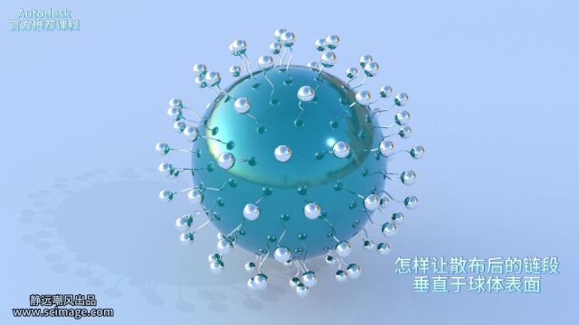 【SCI科研制图教程】怎样让散布后的链段垂直于球体表面(3Dmax软件)【宋元元博主】