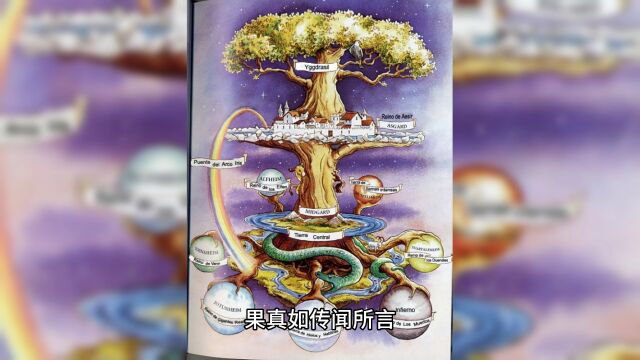 童话故事:神奇树下的果实