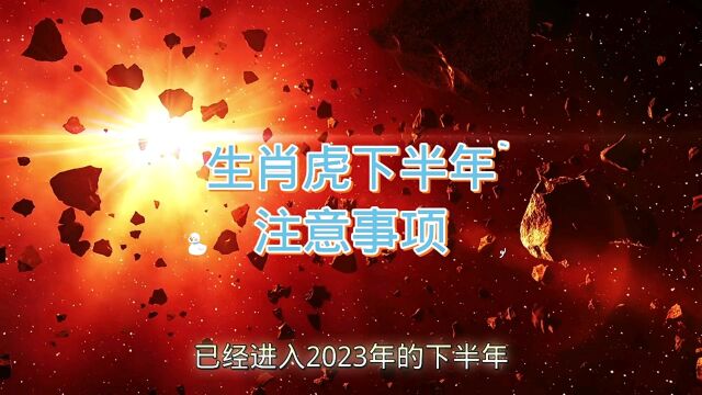 属虎人2023年下半年注意事项