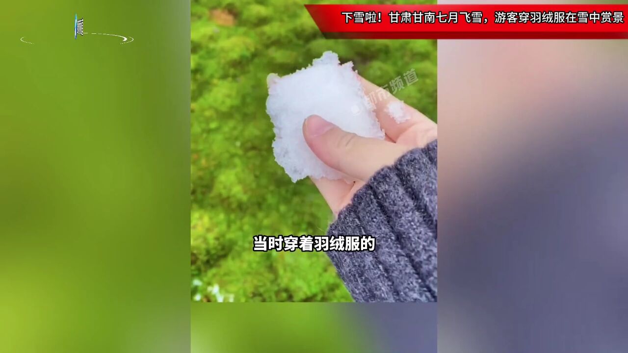 下雪啦!甘肃甘南七月飞雪,游客穿羽绒服在雪中赏景