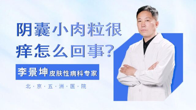 男性阴囊旁边长了个小肉粒很痒怎么回事?李景坤分析为3个原因