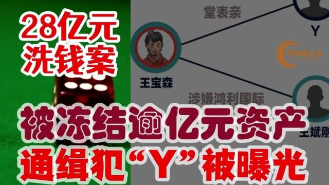 被冻结逾亿元资产,被通缉犯王宝森堂表亲“Y”被曝光,法官解释不批准王宝森的保释申请的理由.