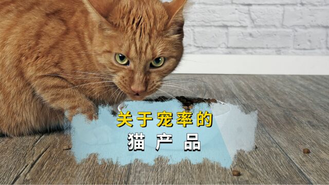 关于宠率的猫产品