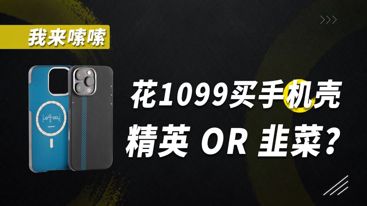 花1099买手机壳的人,就是“认知超群”的精英?