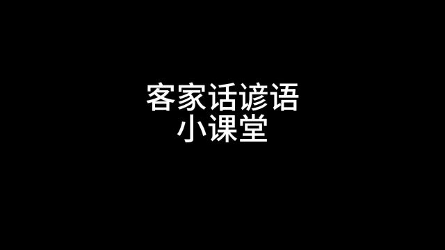 客家话谚语小课堂 搞笑视频