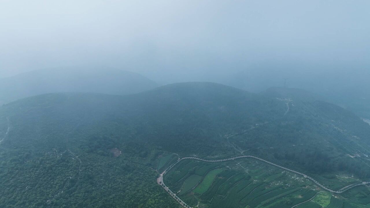 晨雾笼罩,枣庄高新区杨峪风景区尽显梦幻之美