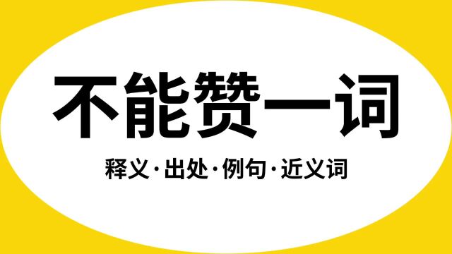 “不能赞一词”是什么意思?